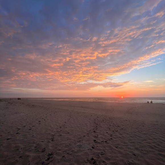 Meet your Posher, Grace - Picture 1 of 1